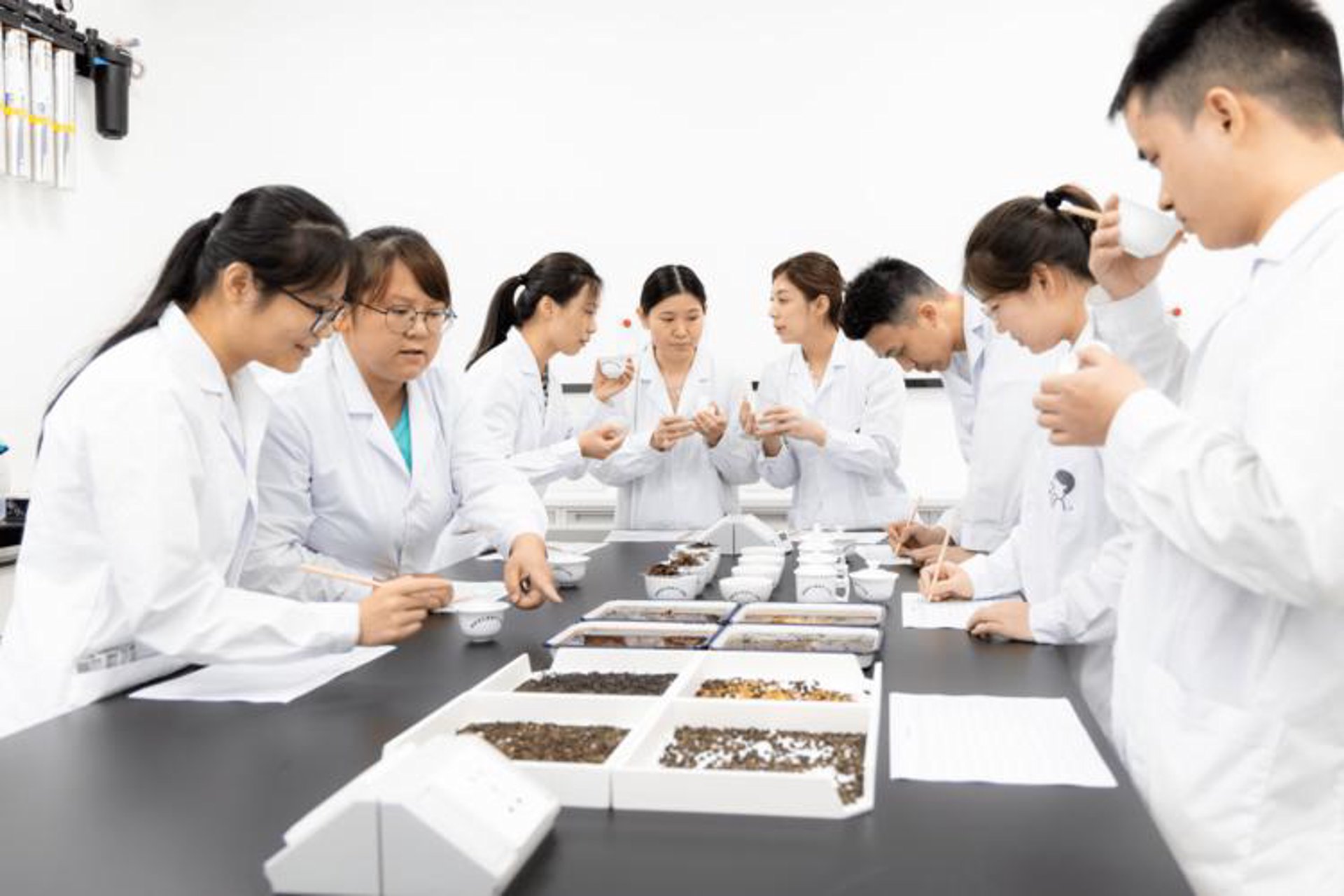 支点食品科技
